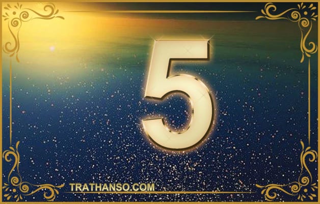 Ý nghĩa chỉ số đường đời 5