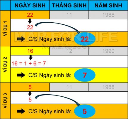 Cách tính chỉ số Ngày sinh