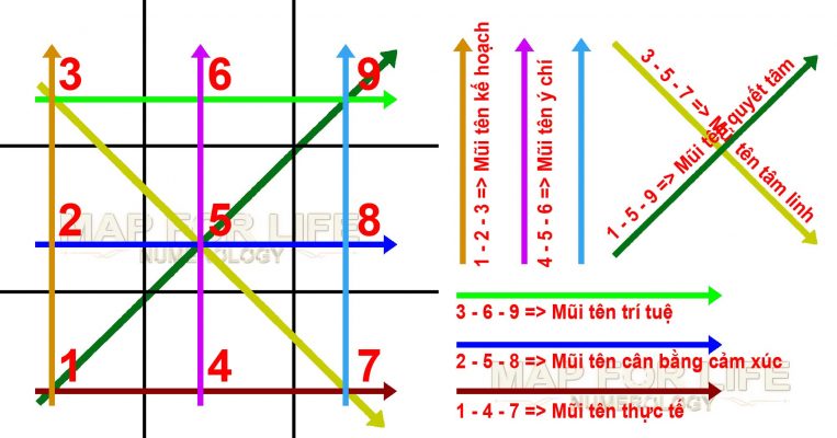 Biểu đồ ngày sinh